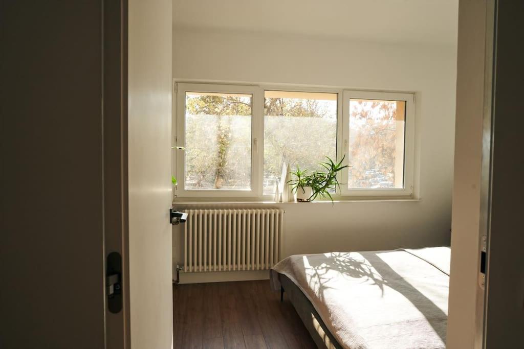 Ultracentral Two Rooms Apartment In Bükreş Dış mekan fotoğraf